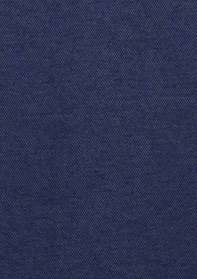 Biz Collection Womens Venture Long Sleeve Shirt BS2619LL in Denim Blue product view
