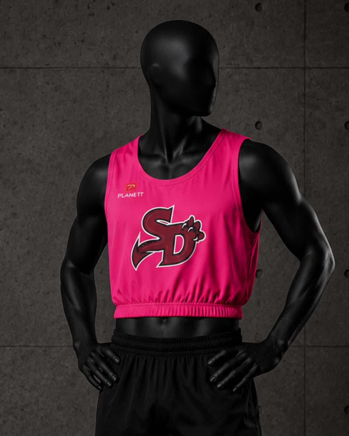[NOT FOR SALE] Sandringham Dragons FC Training BIB