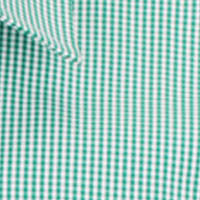 Westgarth Gingham long sleeve shirts mint green and white collar